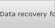 Data recovery for Phoenix data